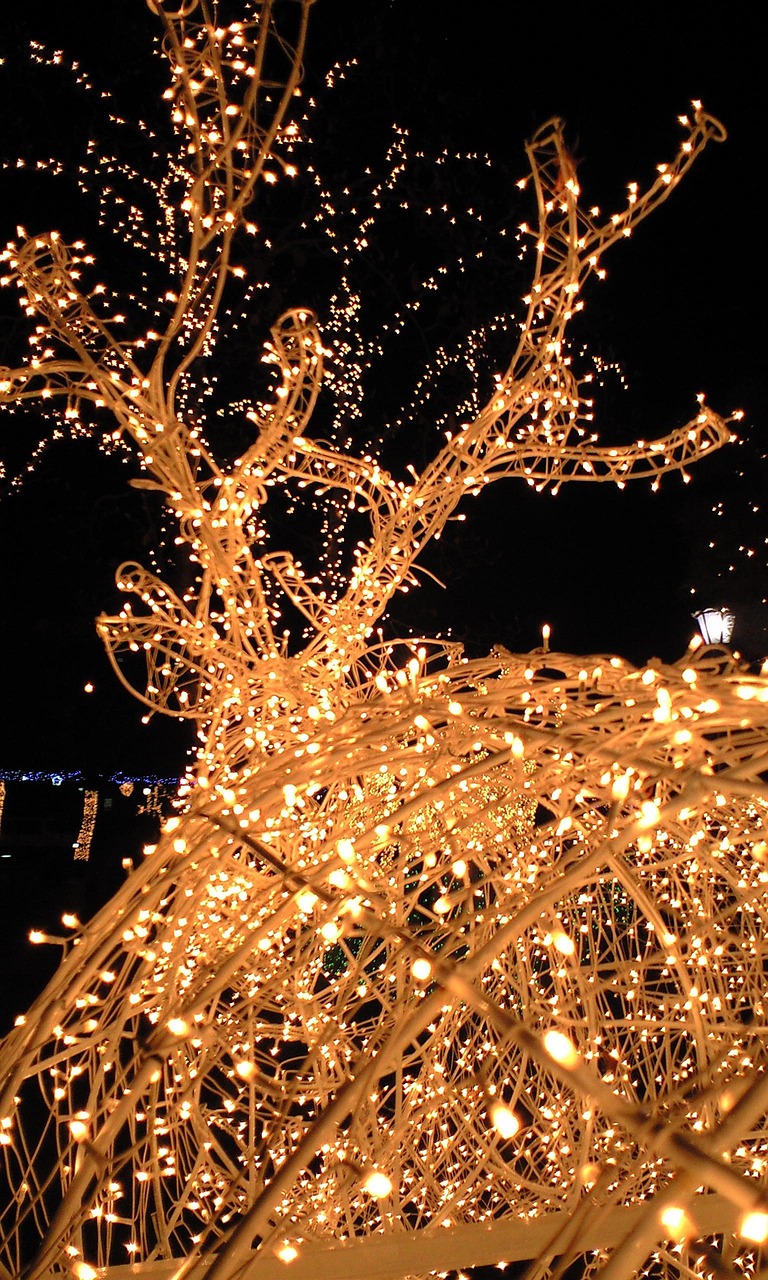 lights, led, light, lighting fixtures, night, christmas, led, led, led, led, led, christmas